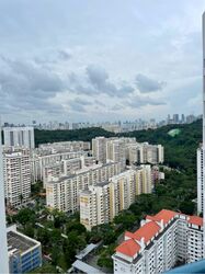 Harbour View Towers (D4), Condominium #321517391